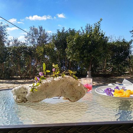 Caza Levantiera Καλαμίτσι Εξωτερικό φωτογραφία