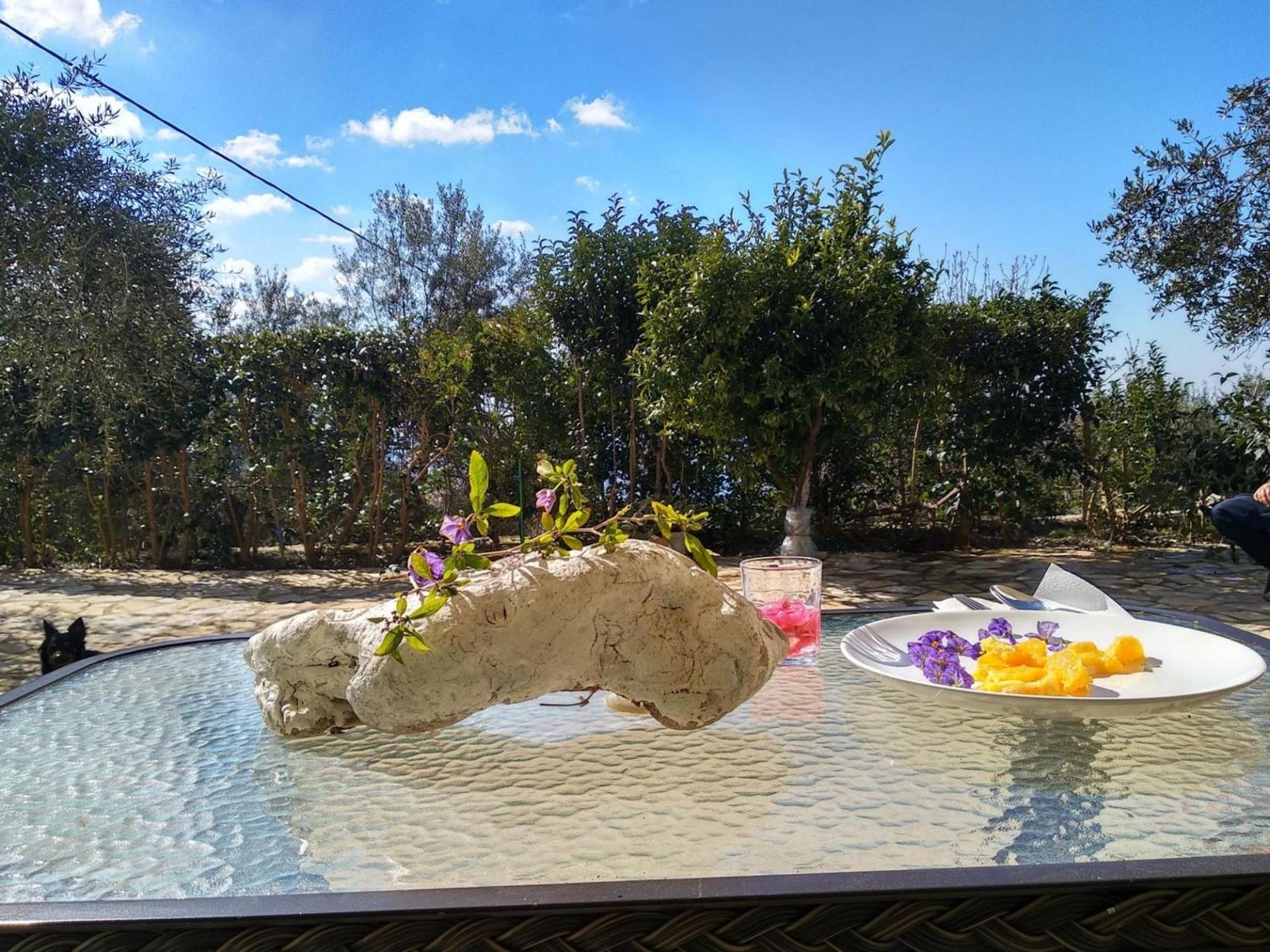 Caza Levantiera Καλαμίτσι Εξωτερικό φωτογραφία
